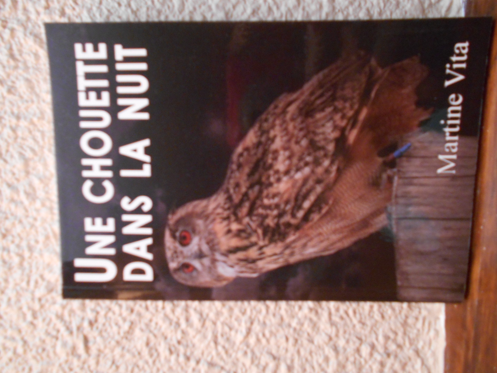 UNE CHOUETTE DANS LA NUIT