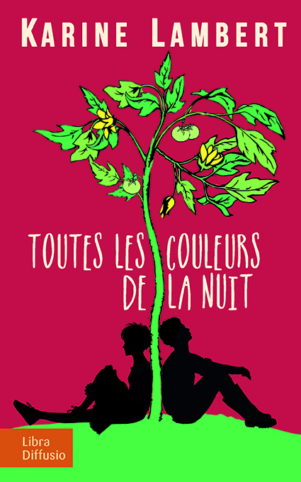 Toutes les couleurs de la nuit