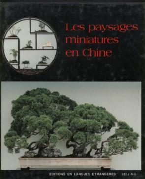 LES PAYSAGES MINIATURES CHINE