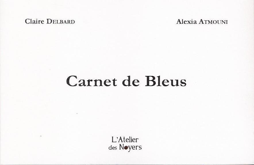 Carnets de Bleus