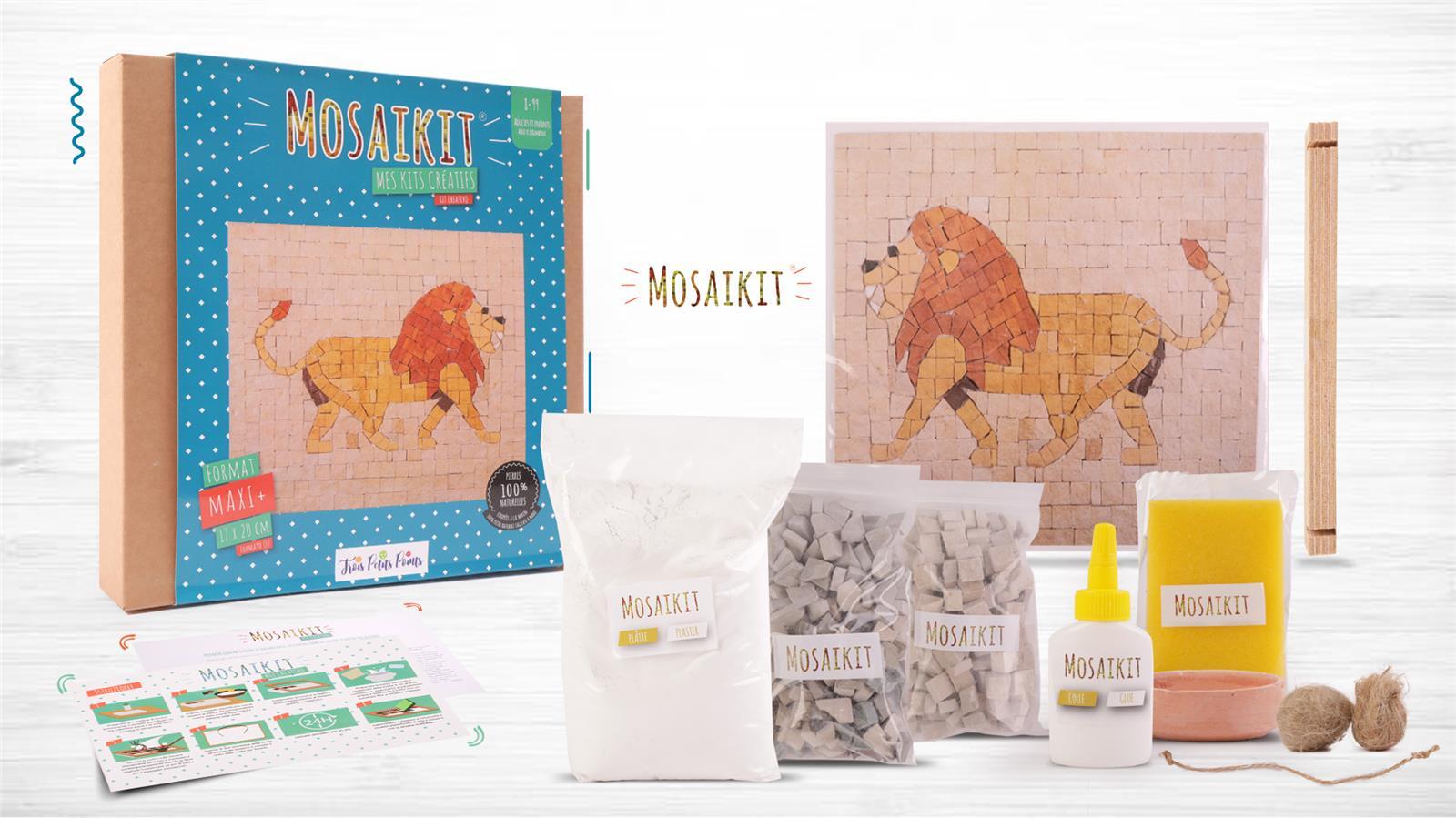 KIT MOSAîQUE COMPLET 100 NATU
