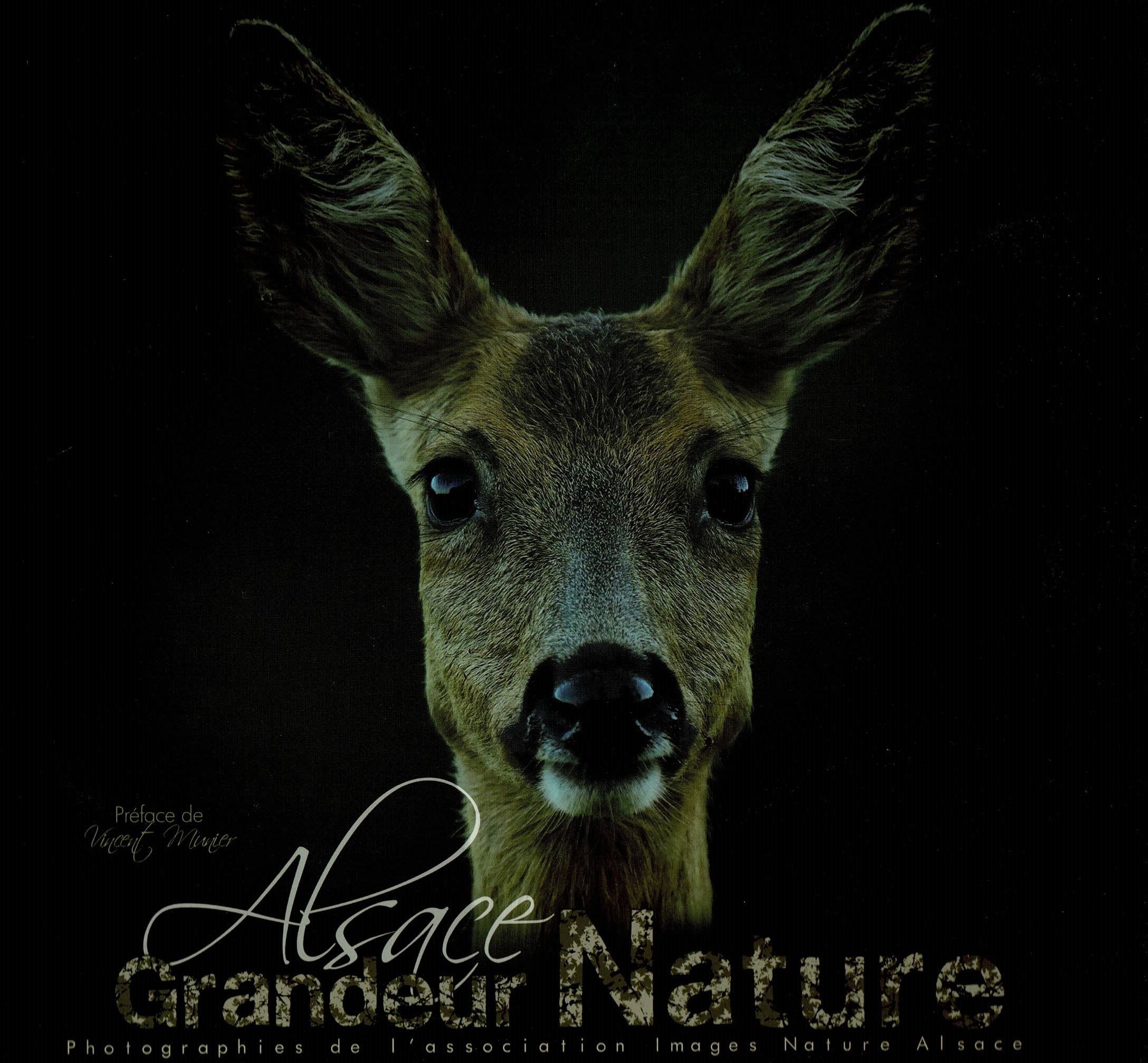 Alsace grandeur nature