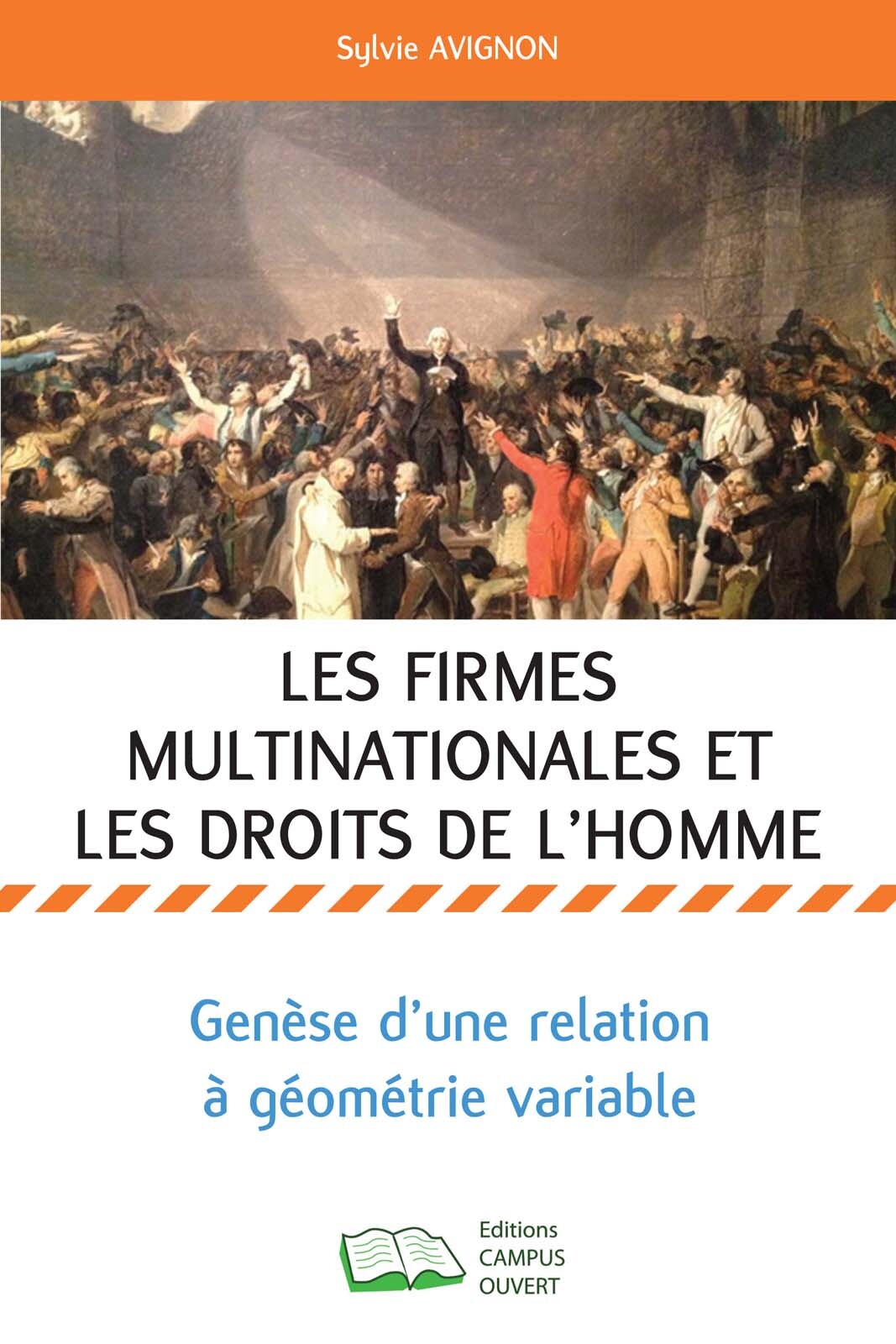 Les Firmes multinationales et les droits de l'homme