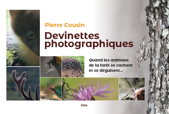 Devinettes photographiques