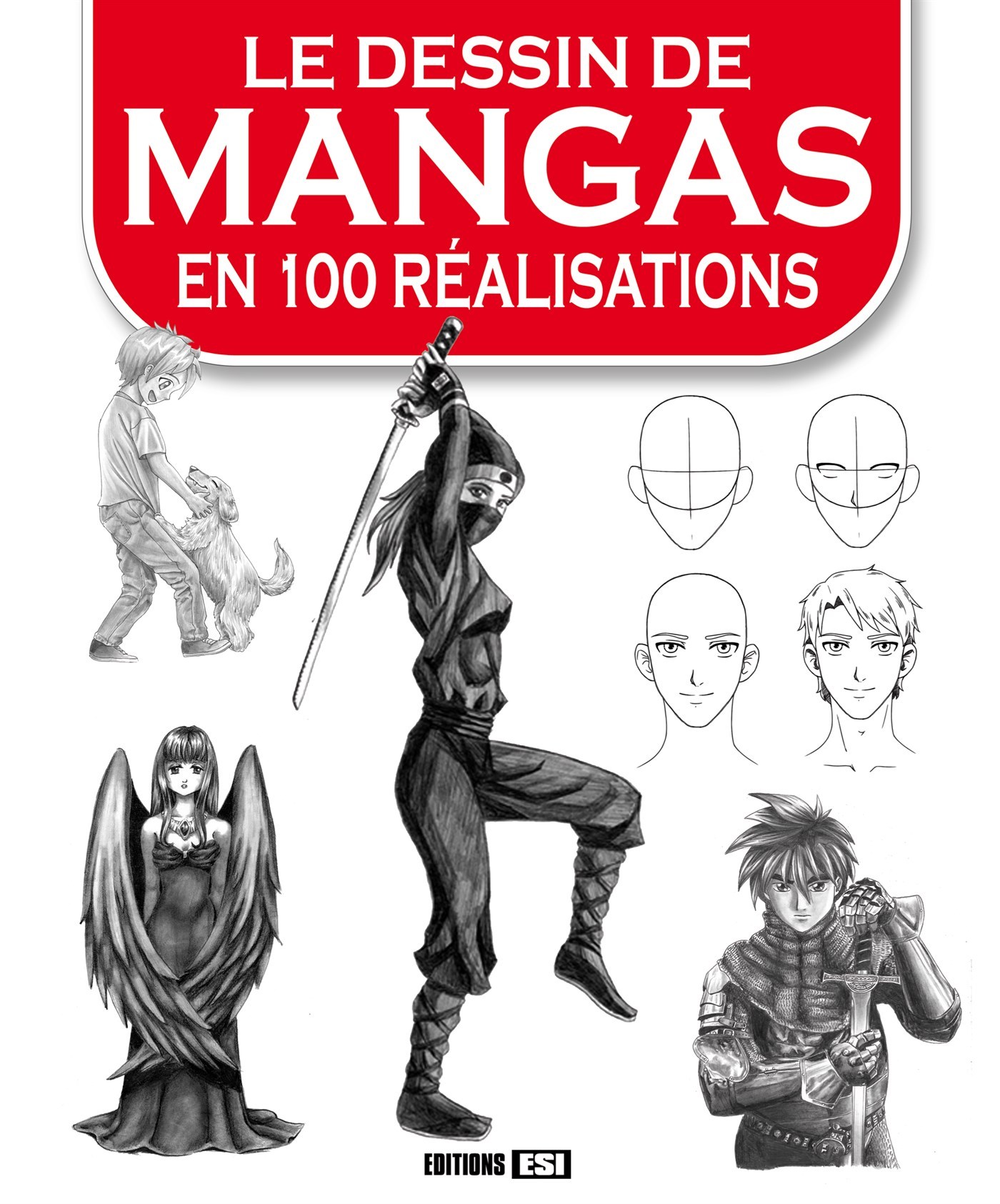 DESSIN DE MANGAS EN 100 REALISATIONS (LE)