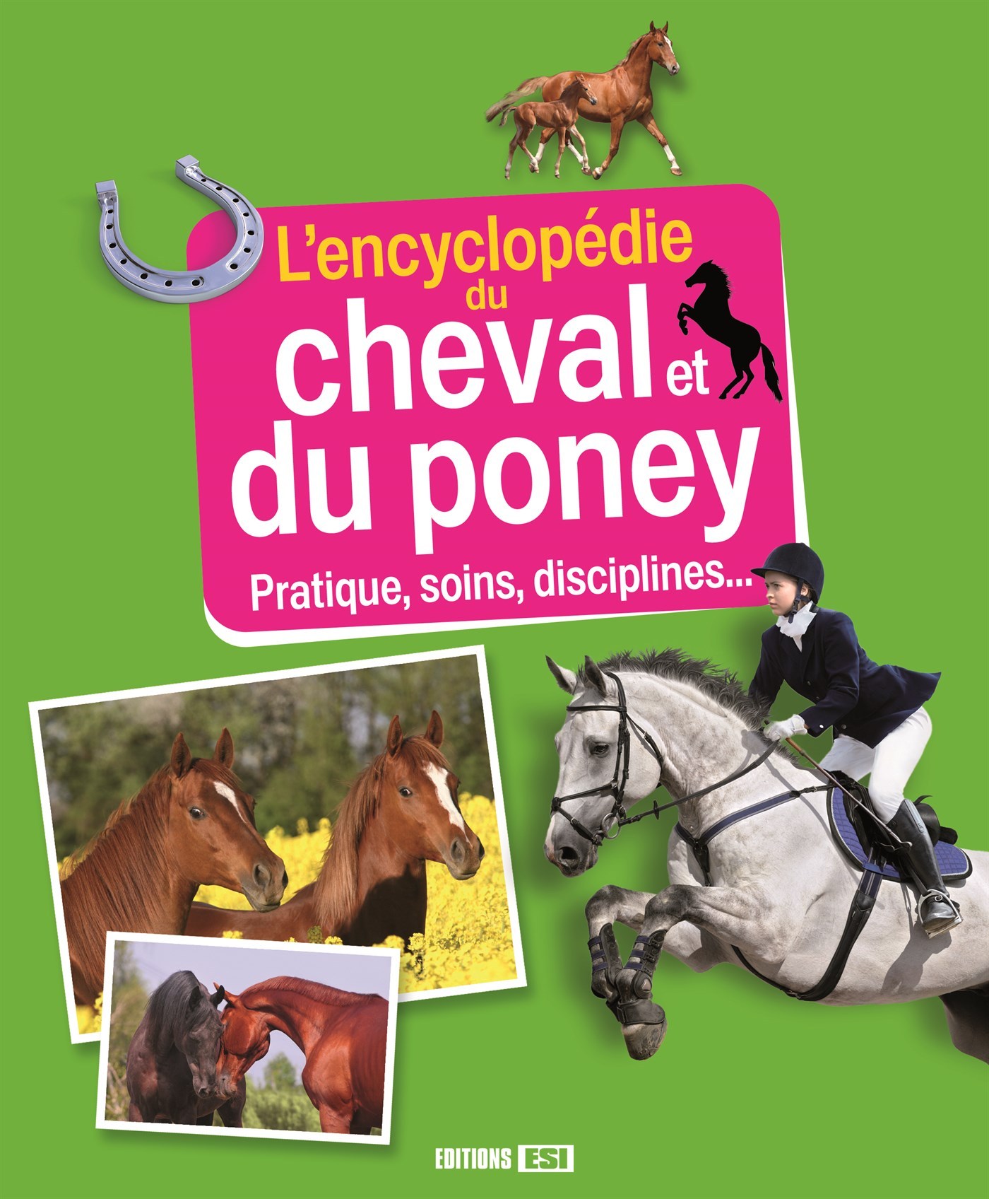 ENCYCLOPEDIE DU CHEVAL ET DU PONEY