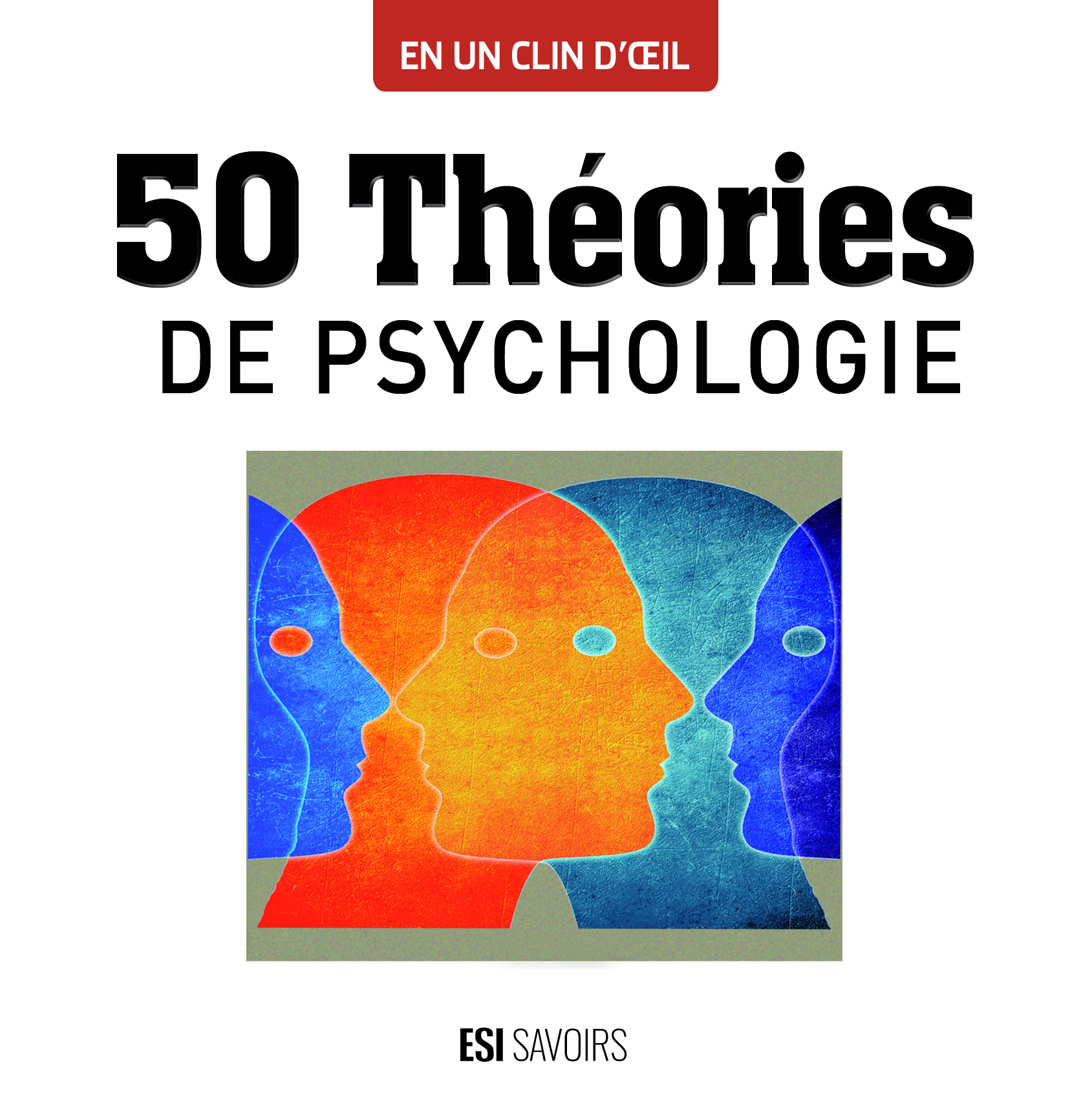 50 THEORIES DE PSYCHOLOGIE