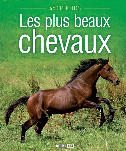 PLUS BEAUX CHEVAUX 450 PHOTOS (LES)*