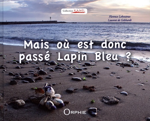 Mais où est donc passé Lapin bleu ?