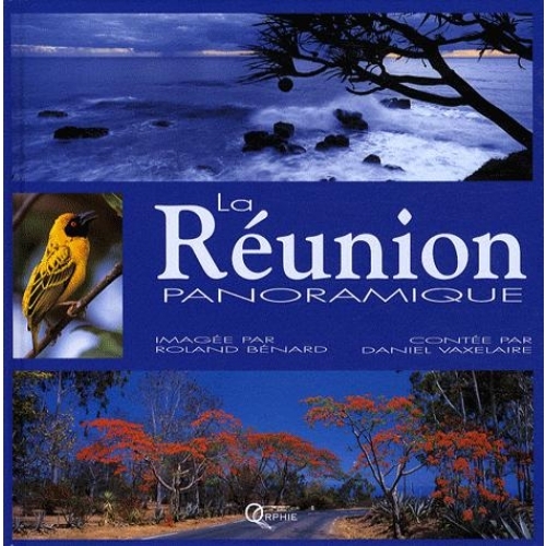 La Réunion panoramique
