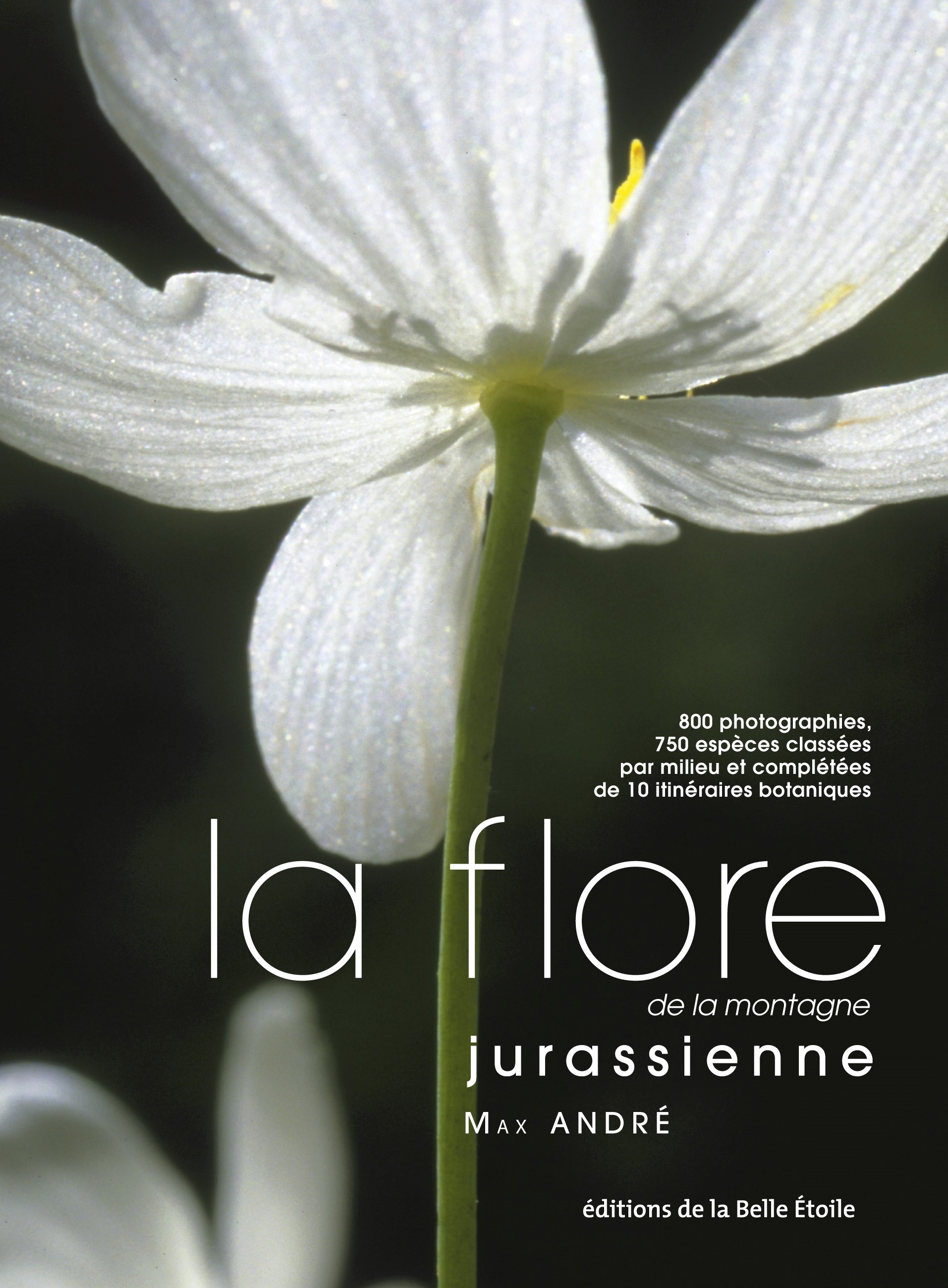 LA FLORE DE LA MONTAGNE JURASSIENNE