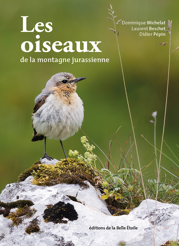 Les Oiseaux de la montagne jurassienne