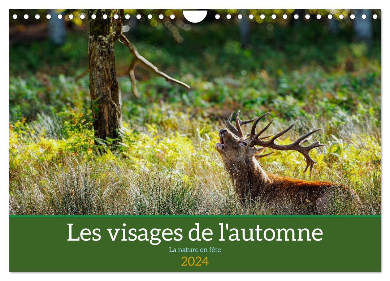 Les visages de l'automne, la nature en fête (Calendrier mural 2024 DIN A4 vertical), CALVENDO calendrier mensuel