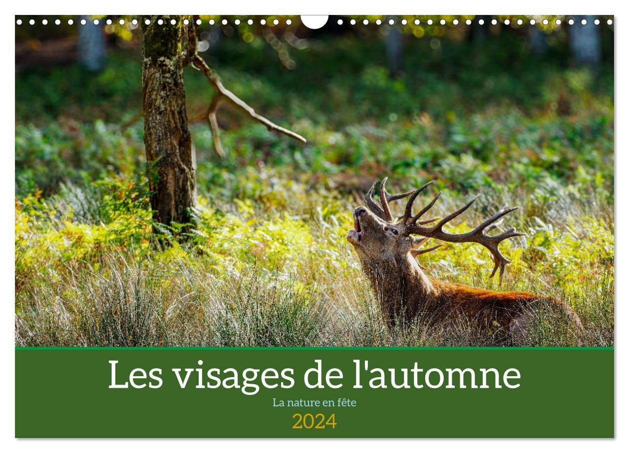 Les visages de l'automne, la nature en fête (Calendrier mural 2024 DIN A3 vertical), CALVENDO calendrier mensuel