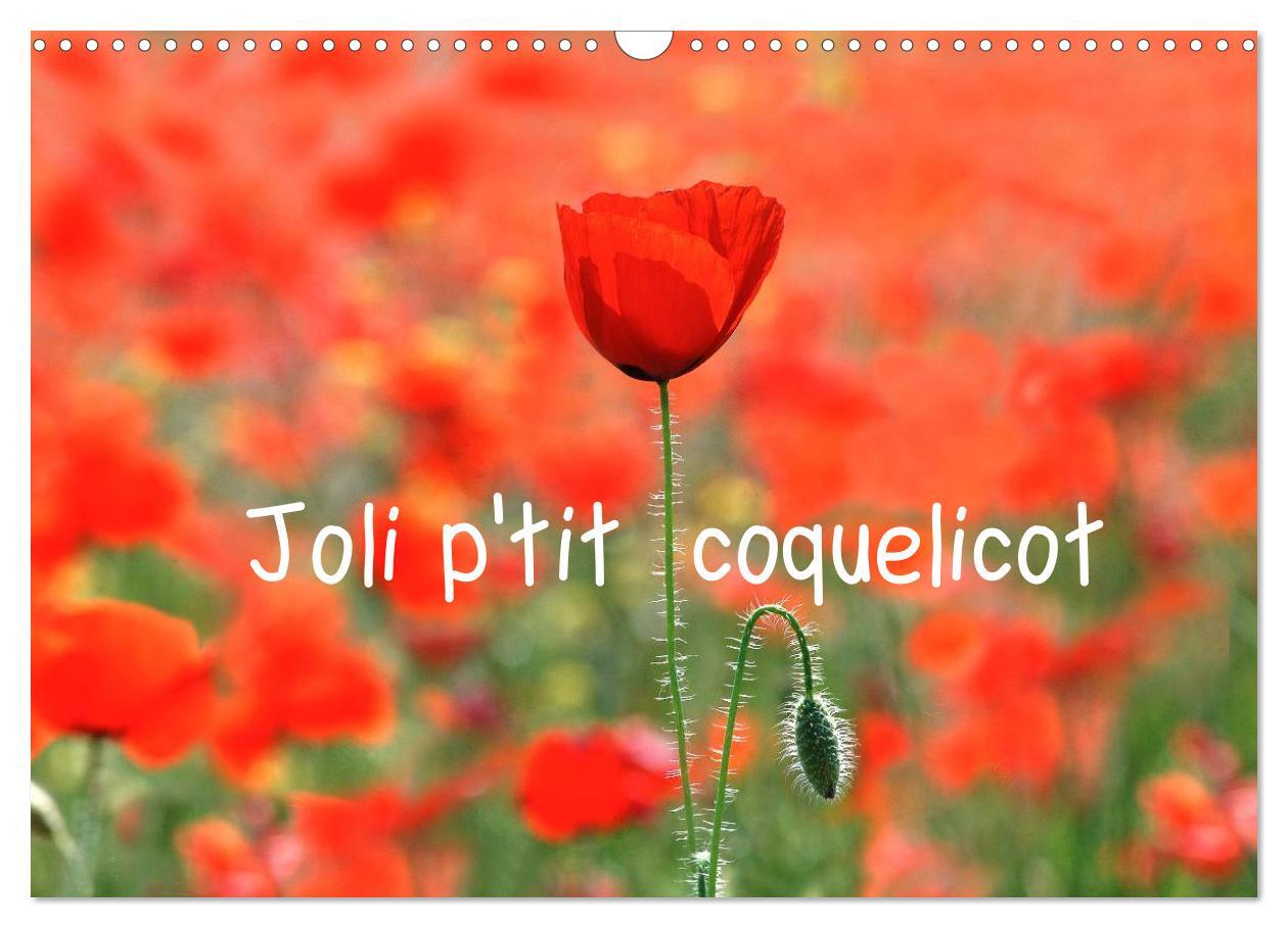 Joli p'tit coquelicot (Calendrier mural 2024 DIN A3 vertical), CALVENDO calendrier mensuel