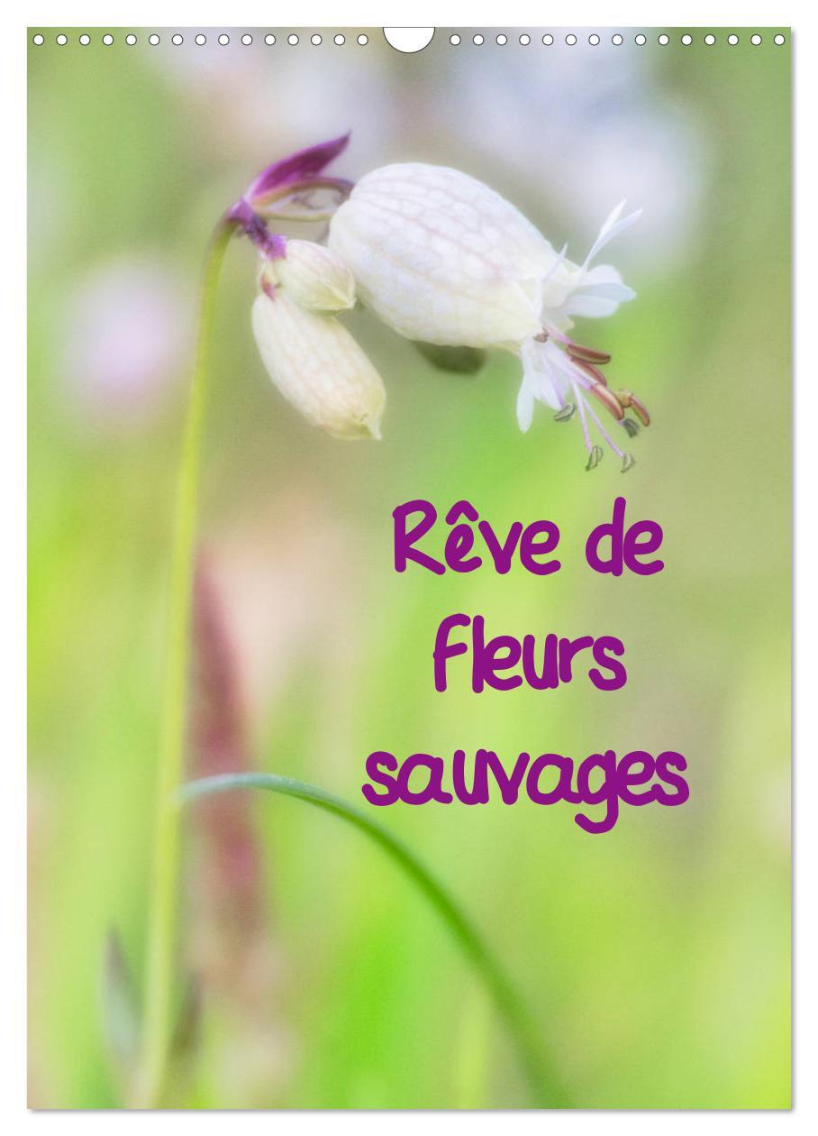 Rêve de fleurs sauvages (Calendrier mural 2024 DIN A3 horizontal), CALVENDO calendrier mensuel