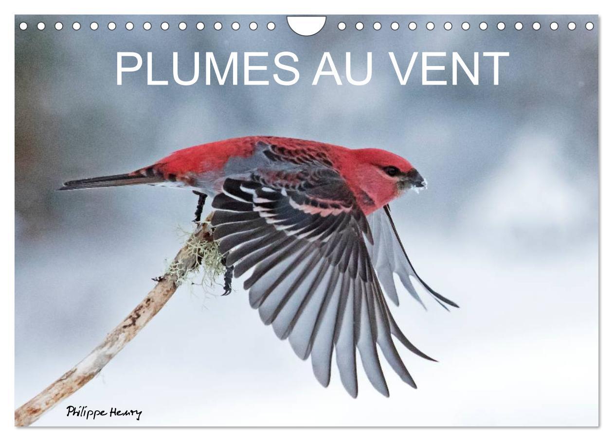 PLUMES AU VENT (Calendrier mural 2024 DIN A4 vertical), CALVENDO calendrier mensuel