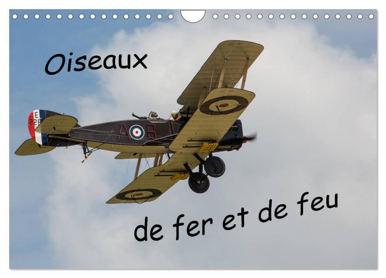 Oiseaux de fer et de feu (Calendrier mural 2024 DIN A4 vertical), CALVENDO calendrier mensuel