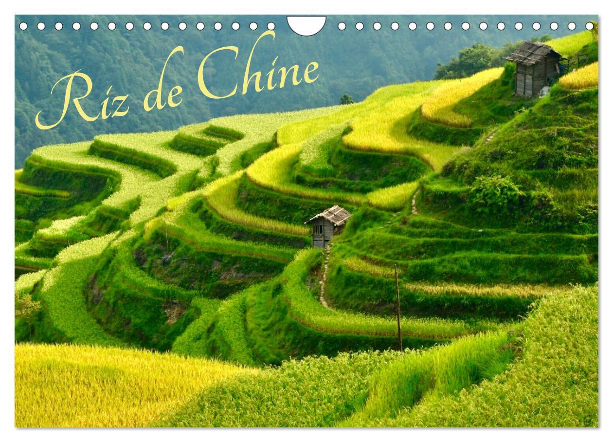 Riz de Chine (Calendrier mural 2025 DIN A4 vertical), CALVENDO calendrier mensuel