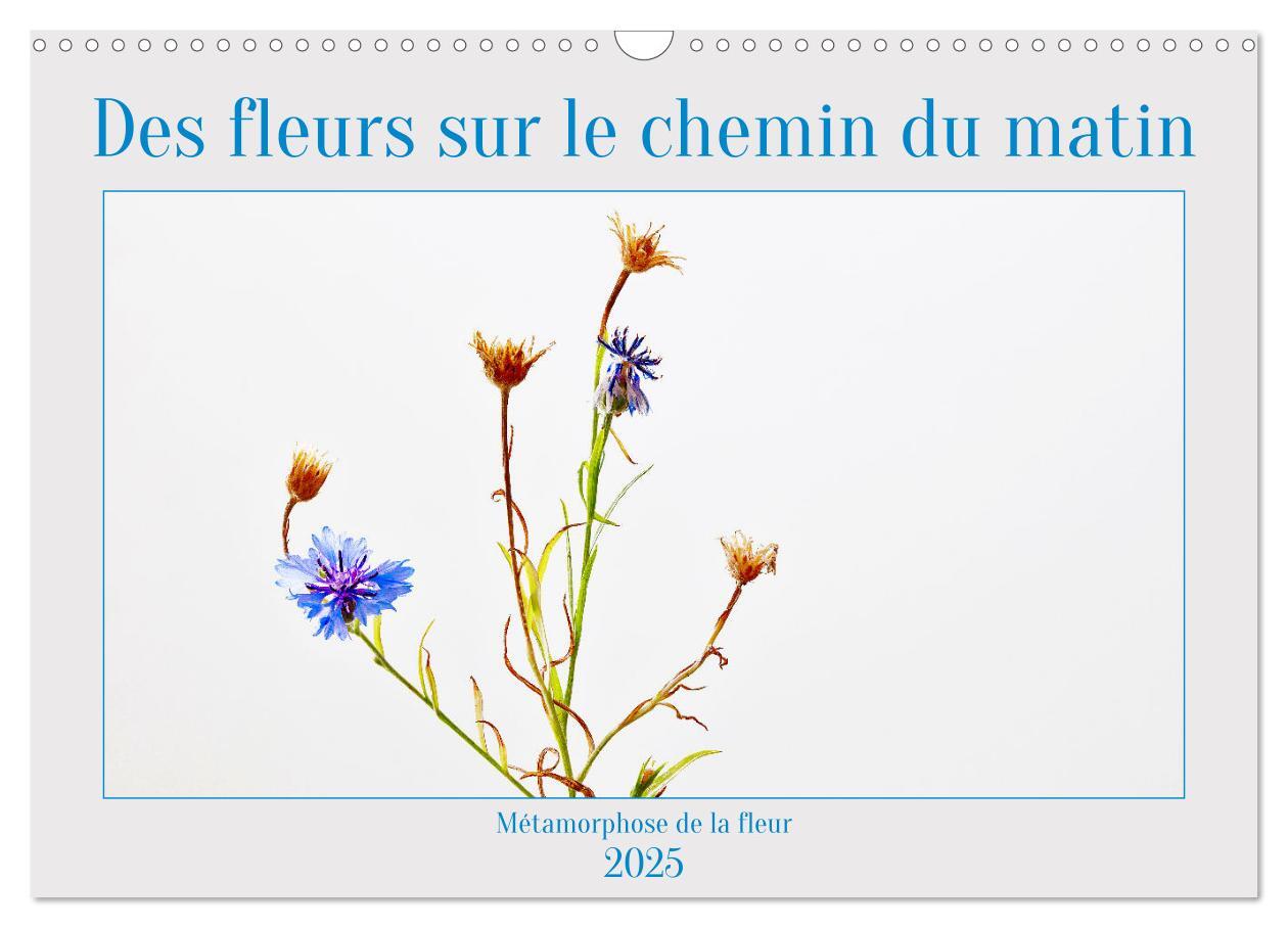 Des fleurs sur le chemin du matin (Calendrier mural 2025 DIN A3 vertical), CALVENDO calendrier mensuel