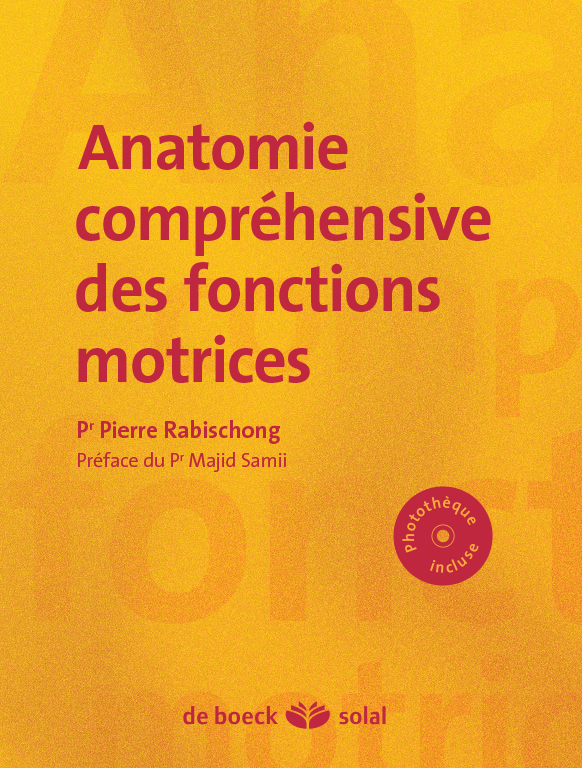 Anatomie compréhensive des fonctions motrices + CD