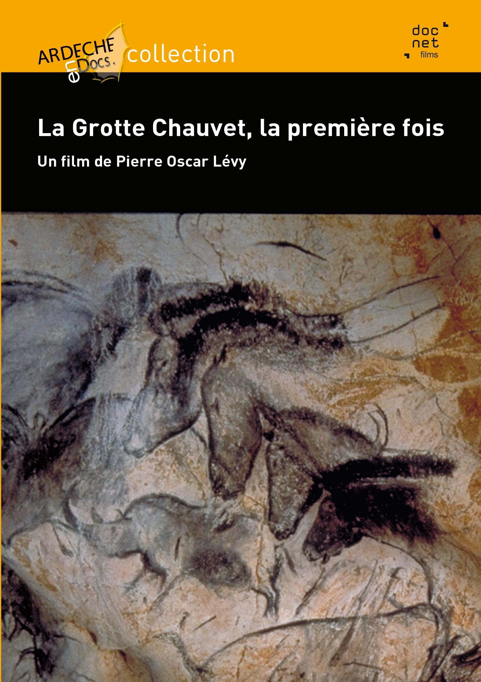 GROTTE CHAUVET LA PREMIERE FOIS (LA) - DVD
