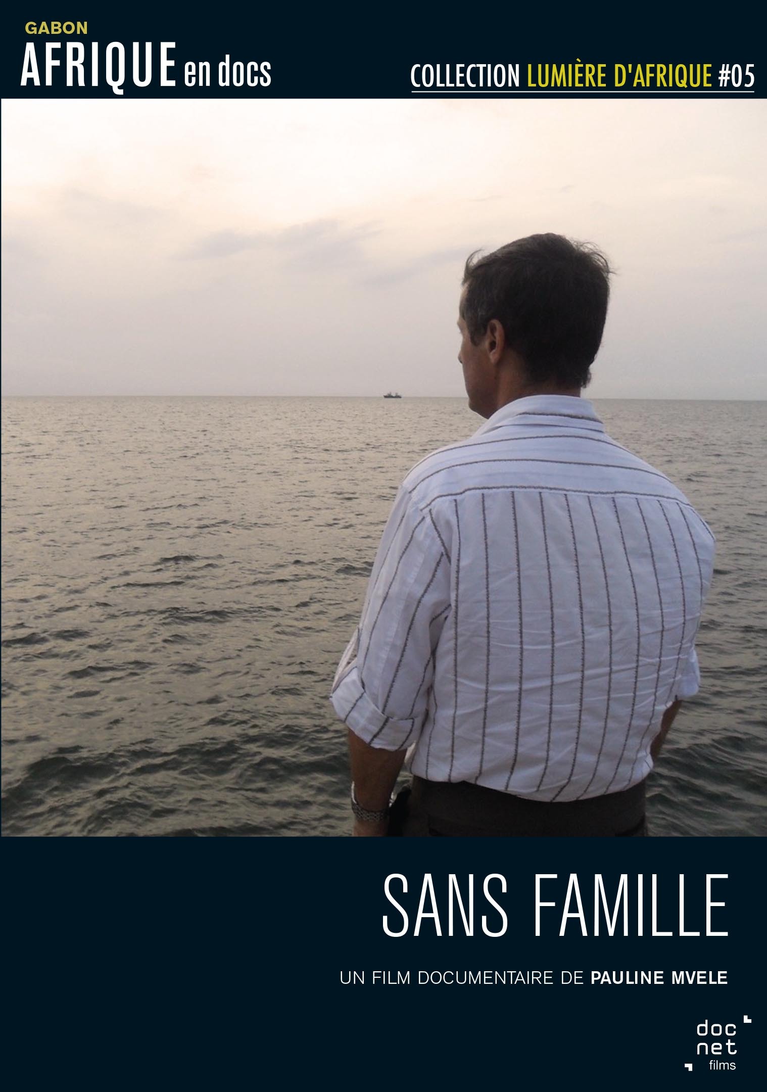 SANS FAMILLE - DVD