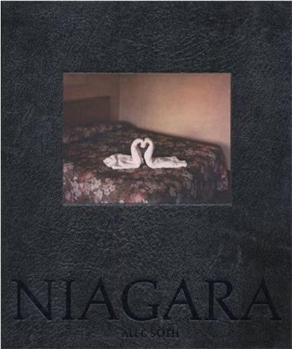 Alec Soth Niagara /anglais