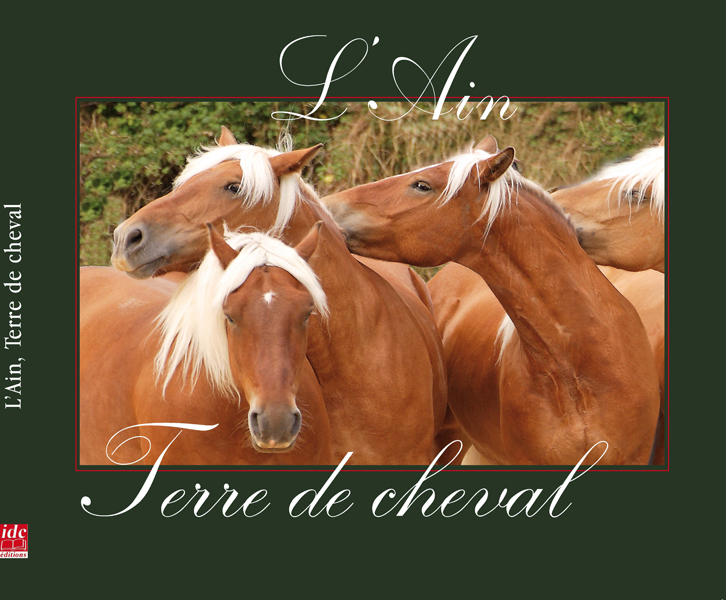 L'Ain, terre de cheval