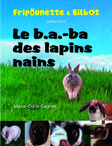 Le B.A.-BA des lapins nains