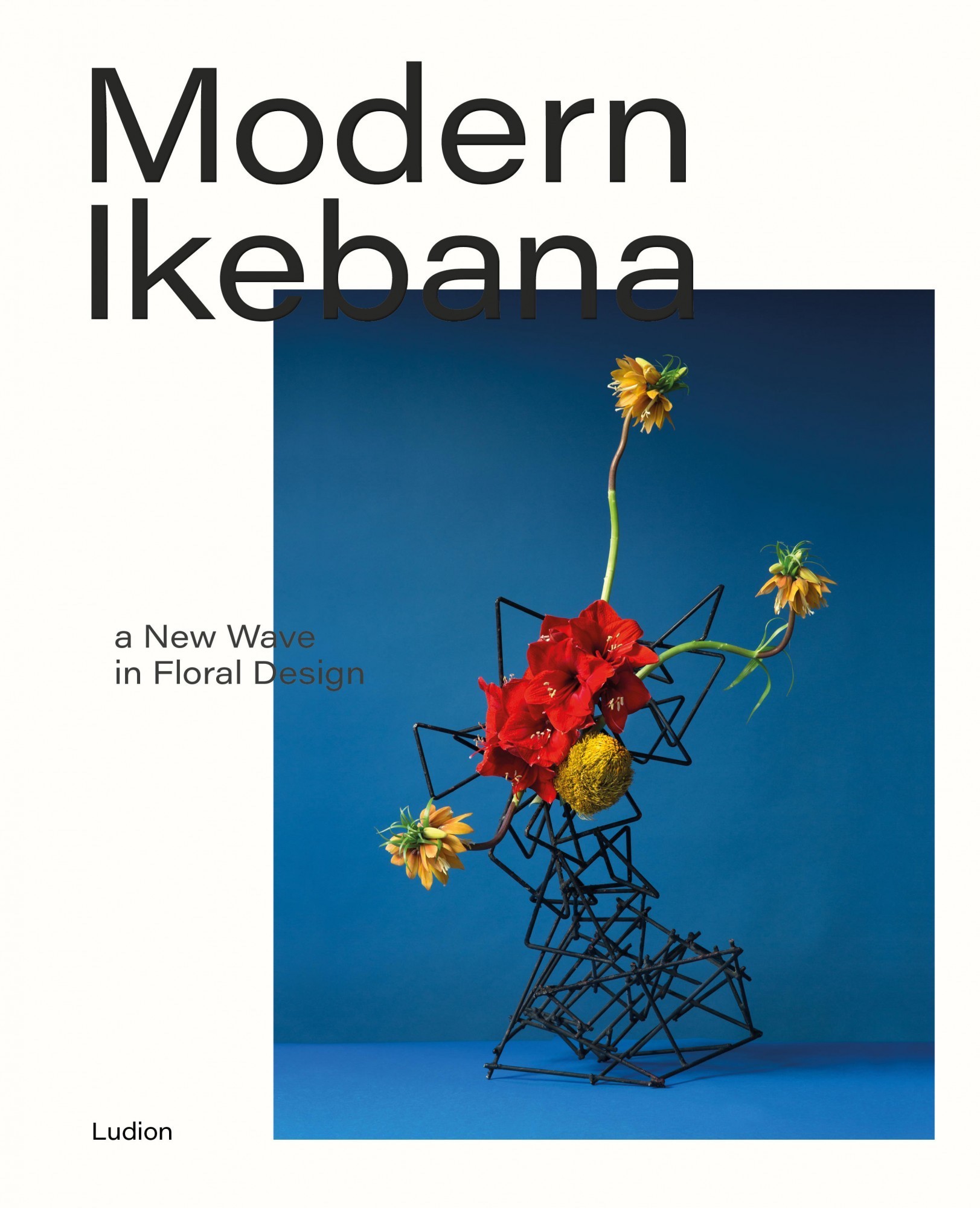 Modern Ikebana A New Wave in Floral Design /anglais