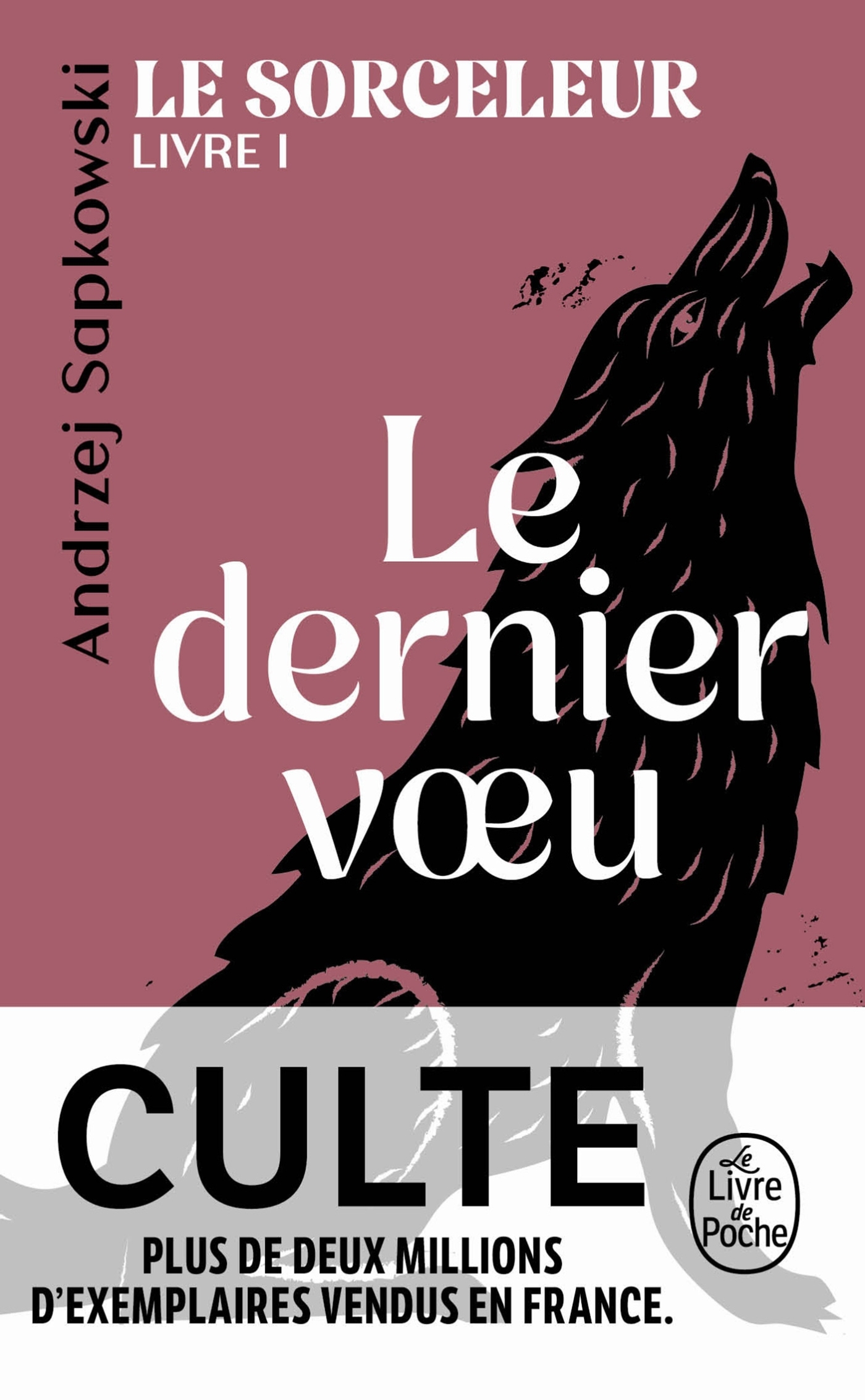 Le Dernier voeu (Le Sorceleur, Tome 1)
