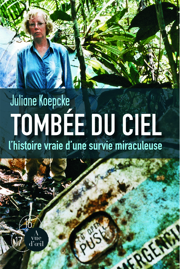 TOMBEE DU CIEL