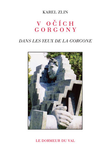 Dans les yeux de la gorgone