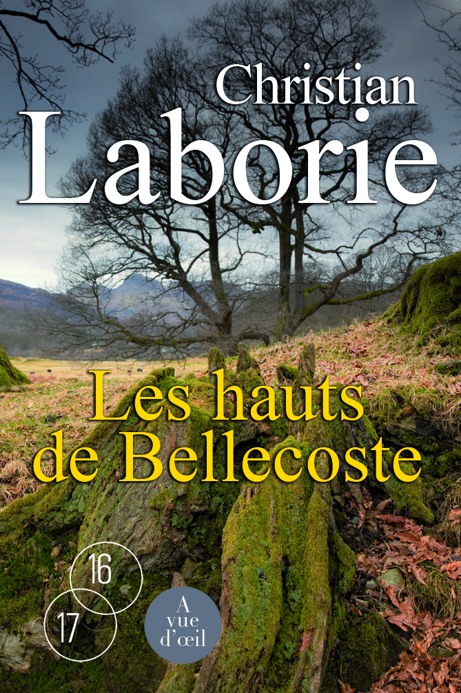 LES HAUTS DE BELLECOSTE