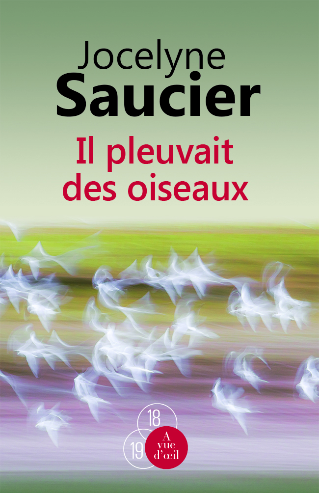 IL PLEUVAIT DES OISEAUX