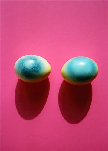 Walter Pfeiffer Vis-A-Vis /anglais