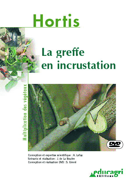Greffe en incrustation (La)