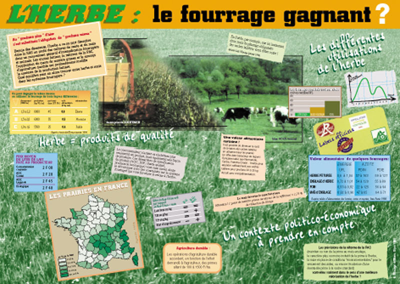Herbe, le fourrage gagnant ? (L')