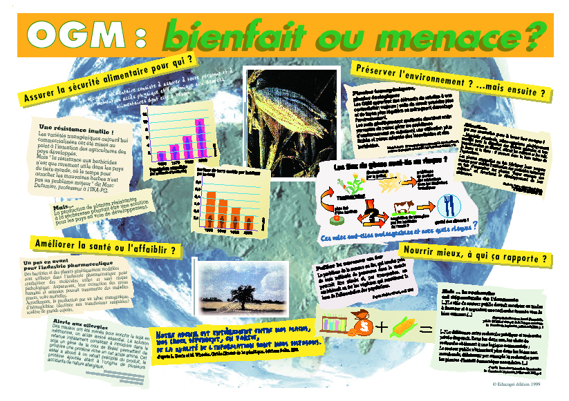 OGM : bienfait ou menace ?