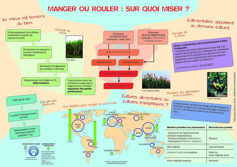 Manger ou rouler, sur quoi miser ? : Biocarburants