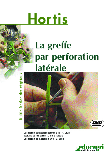 Greffe par perforation latérale (La)
