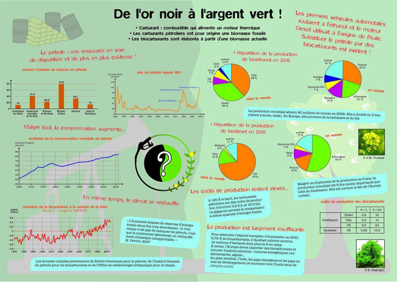Or noir à l'argent vert (De l') : Les biocarburants