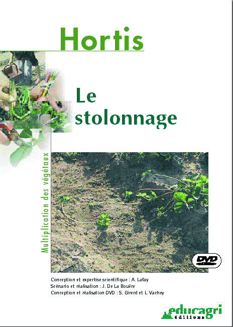 Stolonnage (Le)