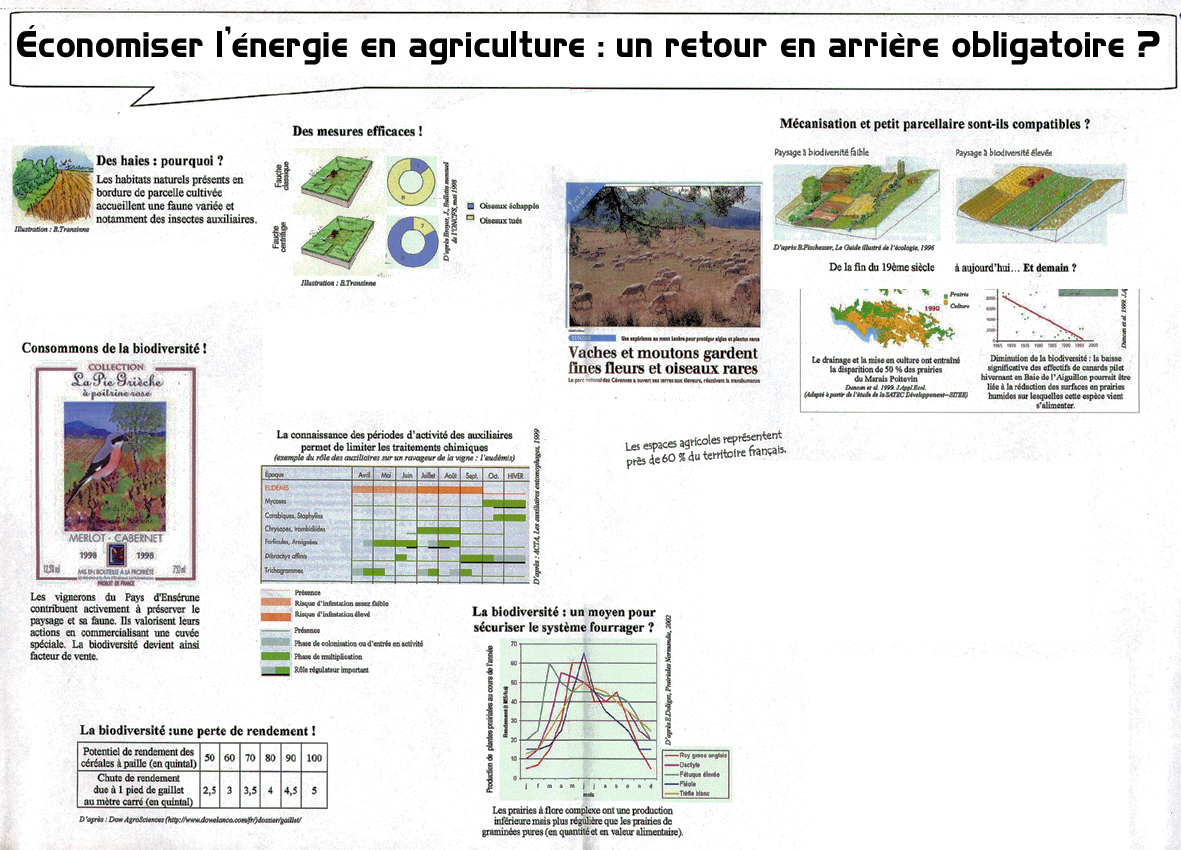 Économiser l'énergie en agriculture : un retour en arrière obligatoire ?