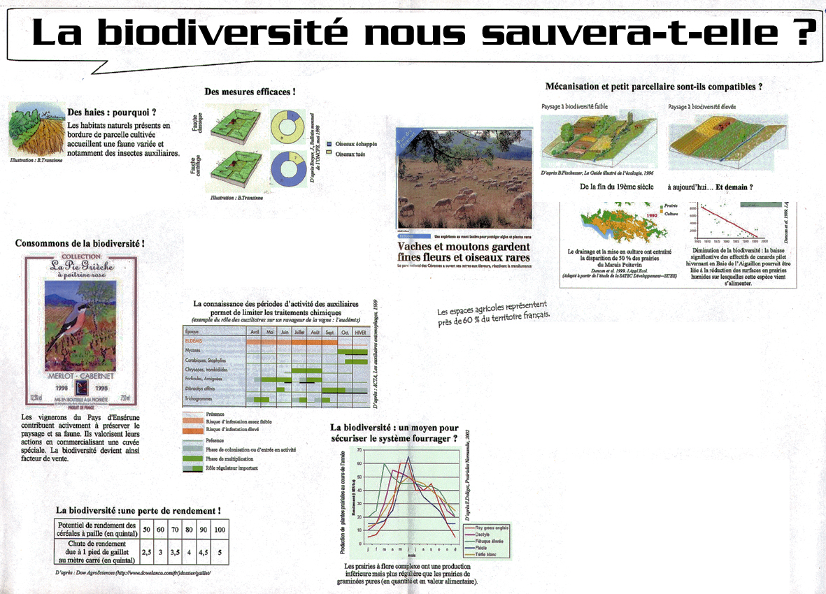 Biodiversité nous sauvera-t-elle ? (La)
