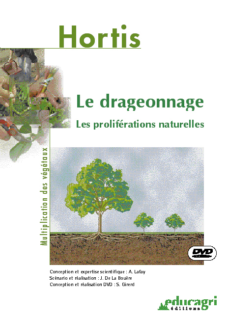 Drageonnage, les proliférations naturelles
