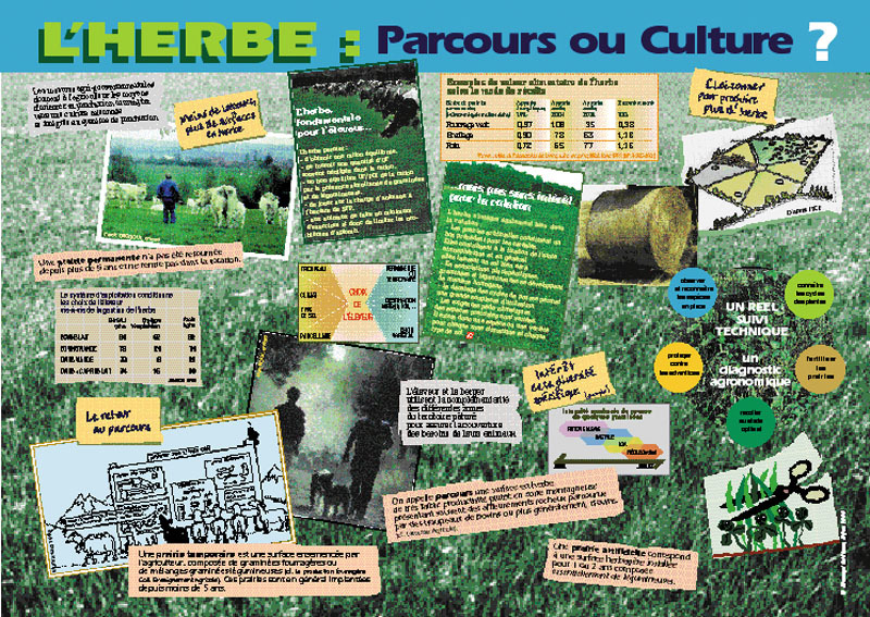 Herbe, parcours ou culture ? (L')