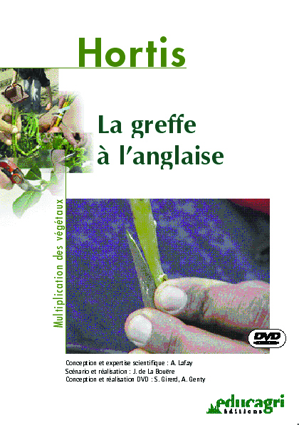 Greffe à l'anglaise (La)