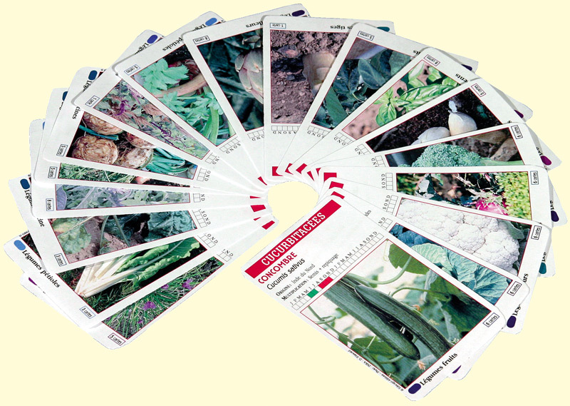 Légum'cartes